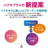 システマ ハグキプラスS 知覚過敏 ハミガキ 歯周病予防 95g 1本 ライオン