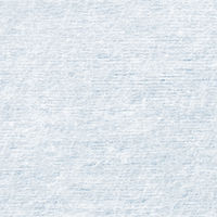 からだふき　ウェットタオル【からだふき／ウェット】濡れタオル 薦田紙工業 大判厚手ウェットタオル WB-838 1ケース(30枚入×72パック)