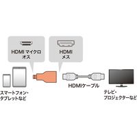 サンワサプライ HDMI変換アダプタ マイクロHDMI AD-HD09MCK 1個