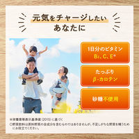 カゴメ 野菜生活100 Smoothie ビタミンスムージー　1000g 1セット（12本）