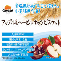 Gerble（ジェルブレ）　アップル＆ヘーゼルナッツビスケット　1セット(（4枚×4袋入)×12箱）　大塚製薬　栄養補助食品