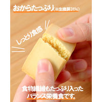 おからだから チーズケーキ 1セット（1個（2袋入）×10） 栄養調整食品 グリコ