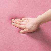 アイリスオーヤマ ヒートクッション HW-IC4-P 1個