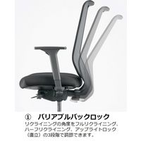 くろがね工作所 Dauphin to-syncチェア 肘付 ランバーサポート付 ブラック×ブルー JC-TS220BF(TA41) 1脚（直送品）