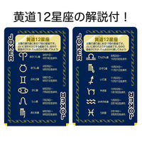 アーテック 星座トランプ 7497 1個