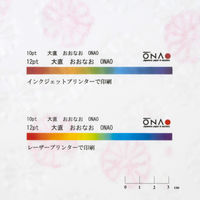 大直 祝花 紅白 A4 10枚入 207000001 1個