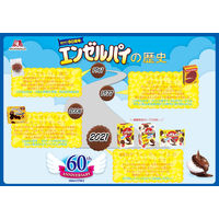 チョコレート菓子 個包装 お配り菓子 エンゼルパイ　徳用　8個入 1セット（1個×3）