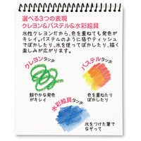 ヤマト カラリックス シルキーツイスター 24色 CLST-24 1個