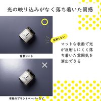 エレコム 撮影用背景シート/MONOTONE/大判サイズ/3枚入 DGA-BPBGMT 1個