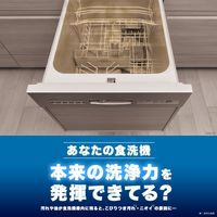 フィニッシュ 食洗機庫内強力洗浄タブレット 1パック（3個入） 食洗機用洗剤 レキットベンキーザー