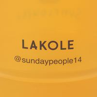 (世界の名作)プラスチックマグカップ ひまわり LAKOLE/ラコレ