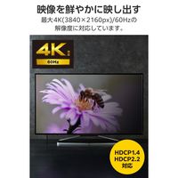 エレコム 変換アダプタ USBタイプCーHDMI TypeーC 4K/60Hz対応 ECAD-CHDMIQGM4 1個