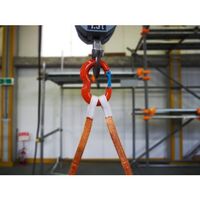 大洋製器工業 TAIYO フレキシブルリンク 1.25t(1015426) FXL-1.25 1個 683-1555（直送品）