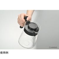 HARIO ペガサスサーバー 600 PES-02-B 1個 68-5181-99（直送品）