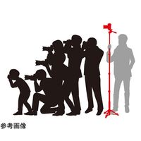 ベルボン 三脚 POLE POD EX FLUIDHEAD 68-7034-77 1本（直送品）