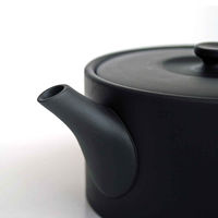 南海通商 急須 460ml ロクサン tokoname 平型 ブラック 476137 1個（直送品）