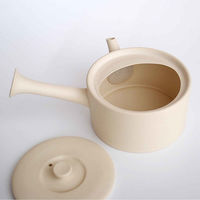 南海通商 急須 460ml ロクサン tokoname 平型 ホワイト 476136 1個（直送品）