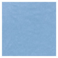 【アウトレット】【Goエシカル】訳あり メディコムジャパン ＡＳＫＵＬ　滅菌撥水ドレープ　45ｘ45ｃｍ JSP810122　2枚 オリジナル