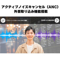 グリーンハウス 完全ワイヤレスステレオイヤホン ノイズキャンセル ホワイト GH-TWSW-WH 1個