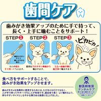 ドギーマン ホワイデント 歯間ケア デンタルフロス ホワイト SS 超小型犬向き 30g（14本）1袋 ドッグフード 犬用 おやつ