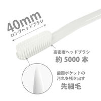 歯ブラシ オクチ チャチャっと  ハブラシ1本 ビタットジャパン