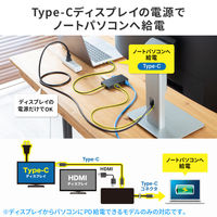 サンワサプライ USB TypeーC ドッキングステーション USB-DKM5BKN 1個