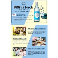眞露 is back 16度 360ml 1セット（1本×20） 韓国焼酎 リキュール 真露 ジンロ レトロ 韓国で大人気