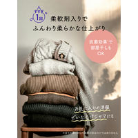 ラボン LAVONS トゥザムーン シャレボン オシャレ着用洗剤 グリーンヘブンの香り 本体 500mL 1個 洗濯洗剤 ネイチャーラボ