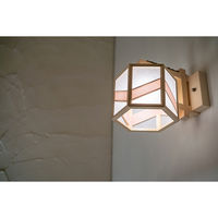 新洋電気 湊 sou 不織布+桜 AB624-I 1台（直送品）