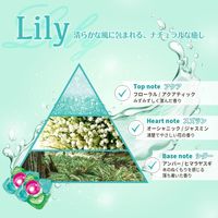 arFUM Liry アフュ―ム リリー ボール型洗濯洗剤 詰め替え 1セット（100粒入×3個） 王子製薬