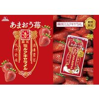 ソフトキャンディ キャラメル 個包装 お配り菓子 ミルクキャラメル　あまおう苺　12粒入 1セット（1個×20）