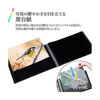 ハクバ写真産業 プロフェッショナルプリントアルバム V A4(ヨコ)サイズ 40枚収納 ブラック ADP5-A4YBK 1冊（直送品）