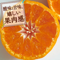 ドール　フルーツカップ　みかん＆アロエ　300g 3個