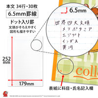 日本ノート ノート トムとジェリーチーズパーティー セミB5 6.5mm30枚5柄セット U18905 1パック