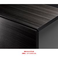 【軒先渡し】朝日木材加工 ペット仏壇 クロシェ 幅290×奥行217×高さ241mm グレーブラック CLP-2530SG-GB 1個（直送品）