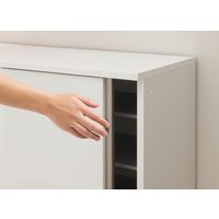 フジイ ESP-FLS-120-W（直送品）