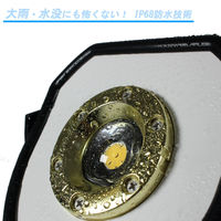 長輝LITETEC LED投光器 AC式防水10W R-05