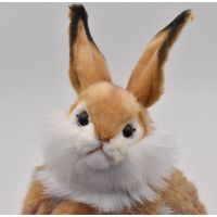 【ぬいぐるみ】 HANSA ハンサ 3316 ウサギ30 3316（直送品）