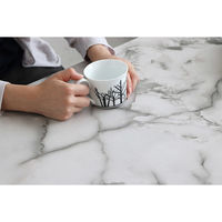 【軒先渡し】東馬 マーブ 昇降テーブル 幅1100×奥行600×高さ360～740mm ホワイト 54670590 1台（直送品）