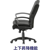 藤沢工業 TOKIO FTXシリーズ マネージャーチェア FTX-3 ブラック 1脚（取寄品）