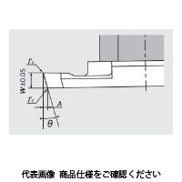 日本特殊陶業 TAチップ CTP20FRX ZM3 CTP20FRXZM3 1セット(10個)（直送品）