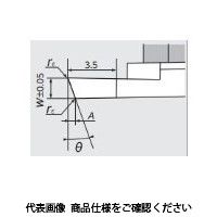 日本特殊陶業 TAチップ CTP20FRV VM1 CTP20FRVVM1 1セット(10個)（直送品）