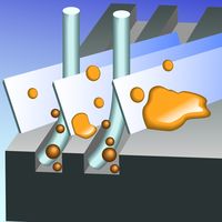 山崎産業 ユニットバスボンくん バス床ブラシハンディ グリーン 1814000000Y2G 1セット(1個×2)