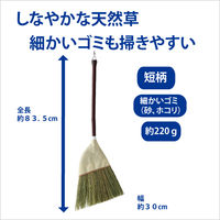 山崎産業 デイリークリーン 座敷箒 短柄 15340000020000 1箱(3本入)
