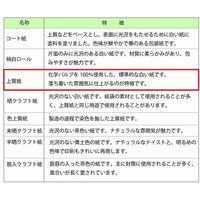 【ケース販売】HEIKO 包装紙 半才 シンプルドット R 002312717 1ケース(100枚入×10袋 合計1000枚)（直送品）