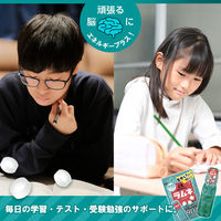 森永製菓 大粒ラムネ 1箱（10袋入）