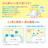 歯磨き粉 子供用 クリニカKids ハミガキ フレッシュいちご 60g 虫歯予防 1本 ライオン