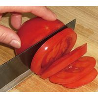 竹内快速鋸 「ダイヤモンド包丁研ぎ器」竹内英治 a15261 1個