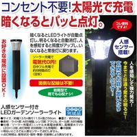 アルミス 人感センサー付きLEDガーデンソーラーライトブラック 67423（直送品）