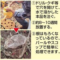 Cadie Products Corporation スタンプ・アウト2個組 53354（直送品）